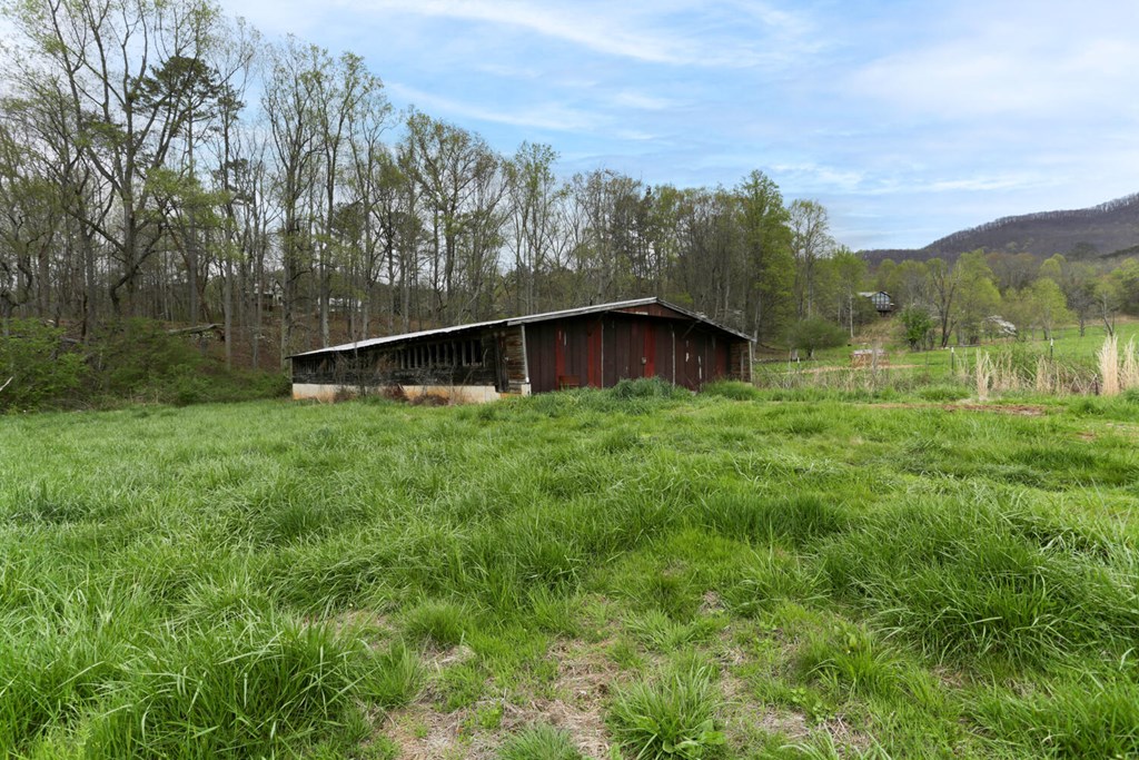 466 Scrougetown Road Ellijay, GA 30536 - Photo 60 of 72 Gallery Image 60
