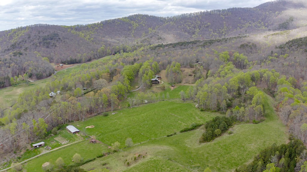 466 Scrougetown Road Ellijay, GA 30536 - Photo 62 of 72 Gallery Image 62