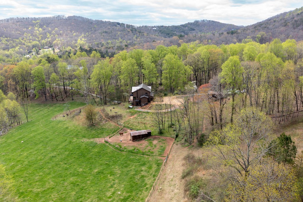 466 Scrougetown Road Ellijay, GA 30536 - Photo 63 of 72 Gallery Image 63