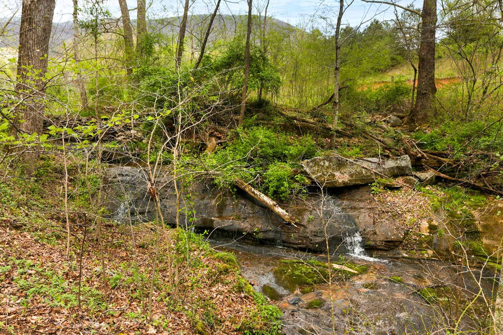 466 Scrougetown Road Ellijay, GA 30536 - Photo 64 of 72 Gallery Image 64