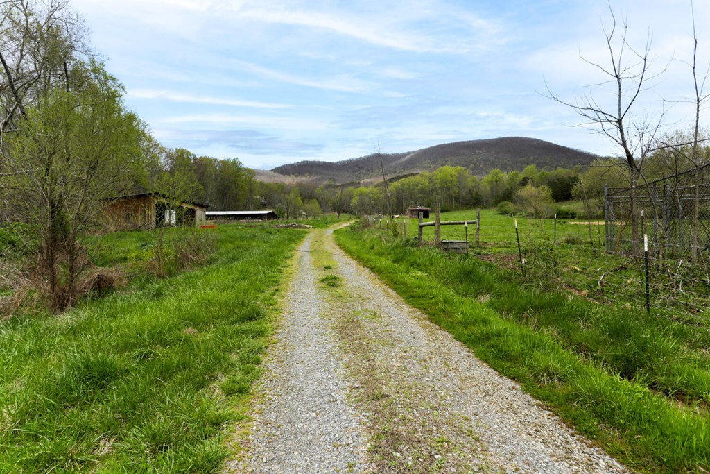 466 Scrougetown Road Ellijay, GA 30536 - Photo 68 of 72 Gallery Image 68