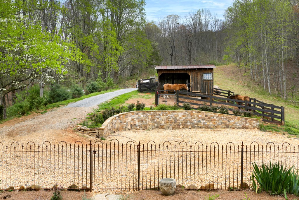 466 Scrougetown Road Ellijay, GA 30536 - Photo 8 of 72 Gallery Image 8