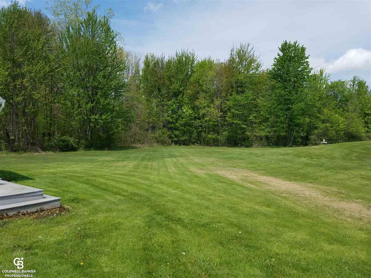 9100 Brandon Road Avoca, MI 48006 - Photo 17 of 21 This is a view of the back yard.