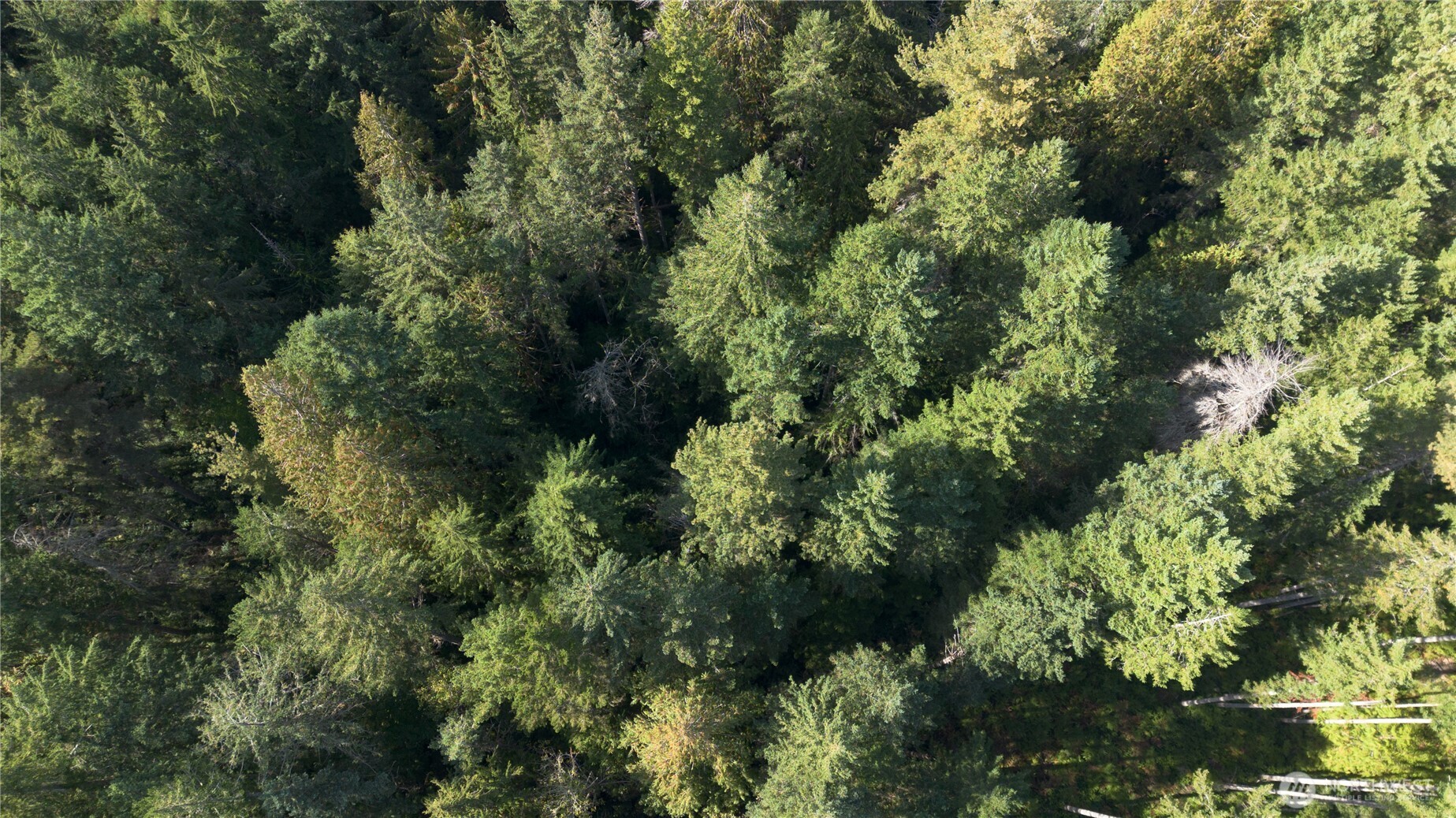 an aerial view of residential house with outdoor space and trees all around