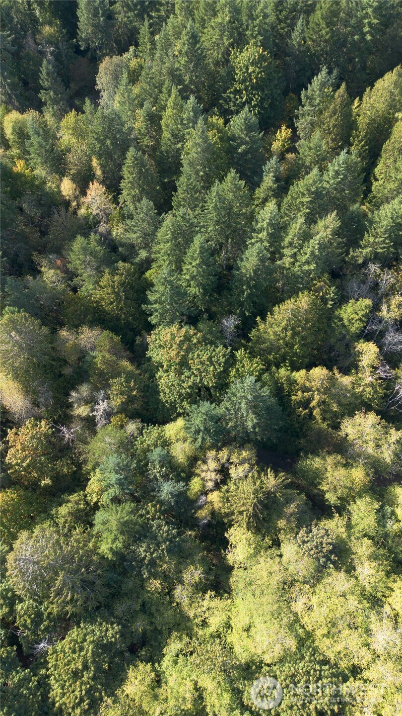 0 Long Lake Road Southeast Port Orchard, WA 98367 - Photo 3 of 6 a view of a forest with houses