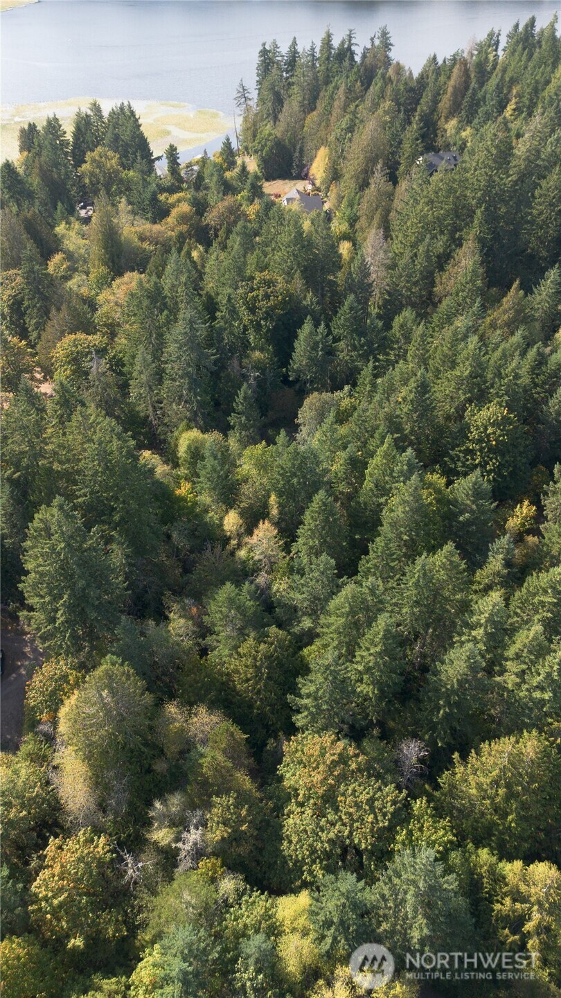 0 Long Lake Road Southeast Port Orchard, WA 98367 - Photo 4 of 6 a view of a forest with a forest