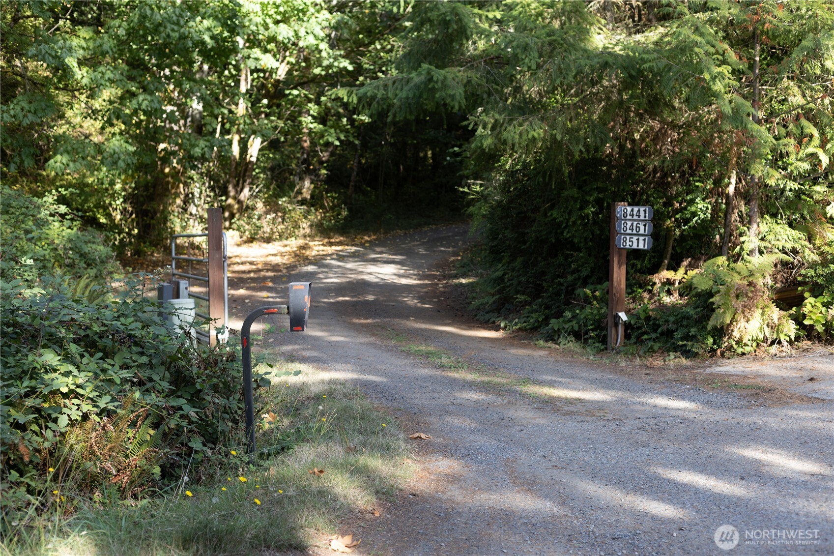 0 Long Lake Road Southeast Port Orchard, WA 98367 - Photo 5 of 6 a view of yard