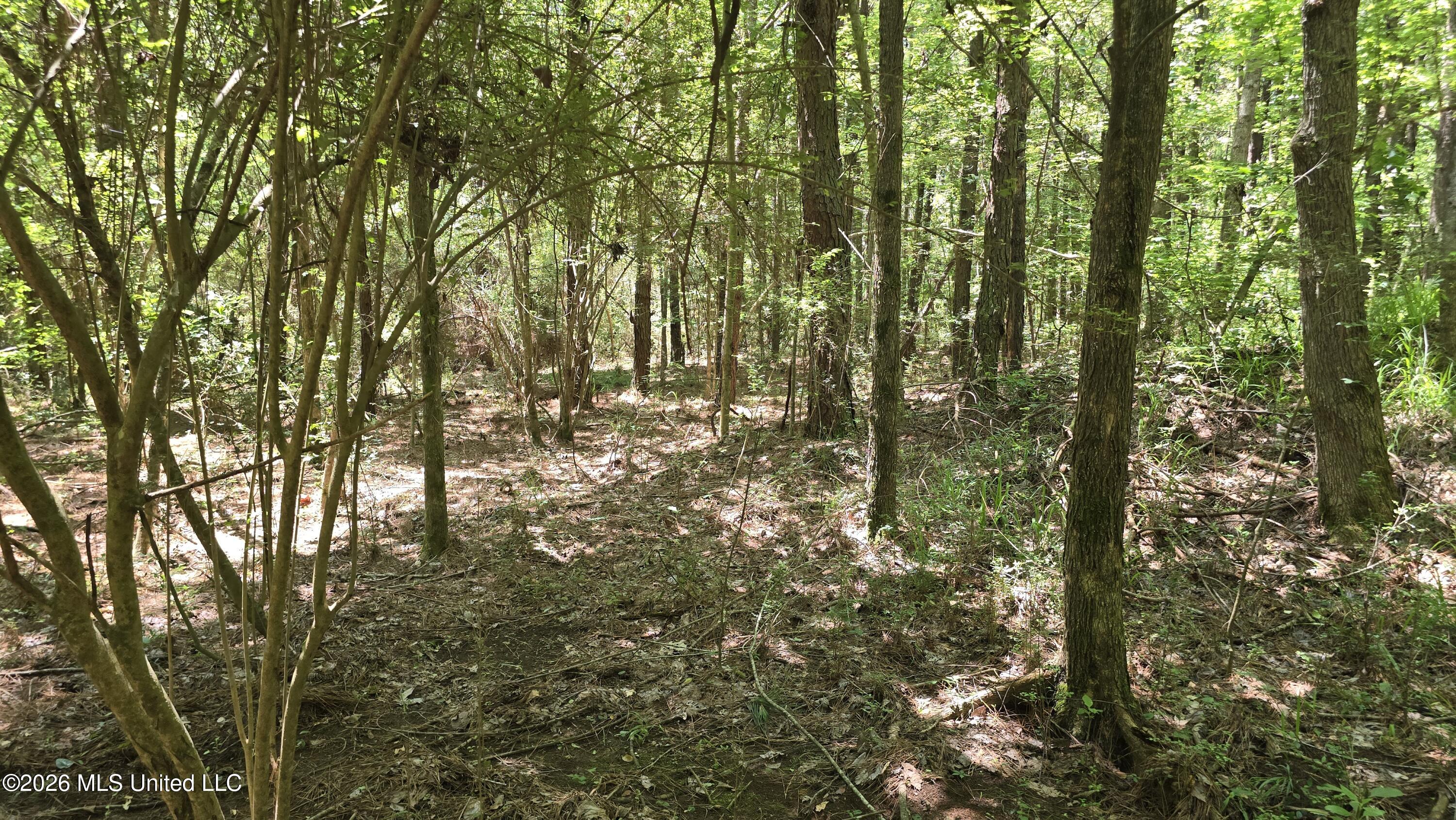 189 Co Road Bay Springs, MS 39422 - Photo 35 of 61 20260513_120345