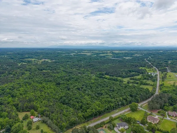 a view of a city with lush green forest
