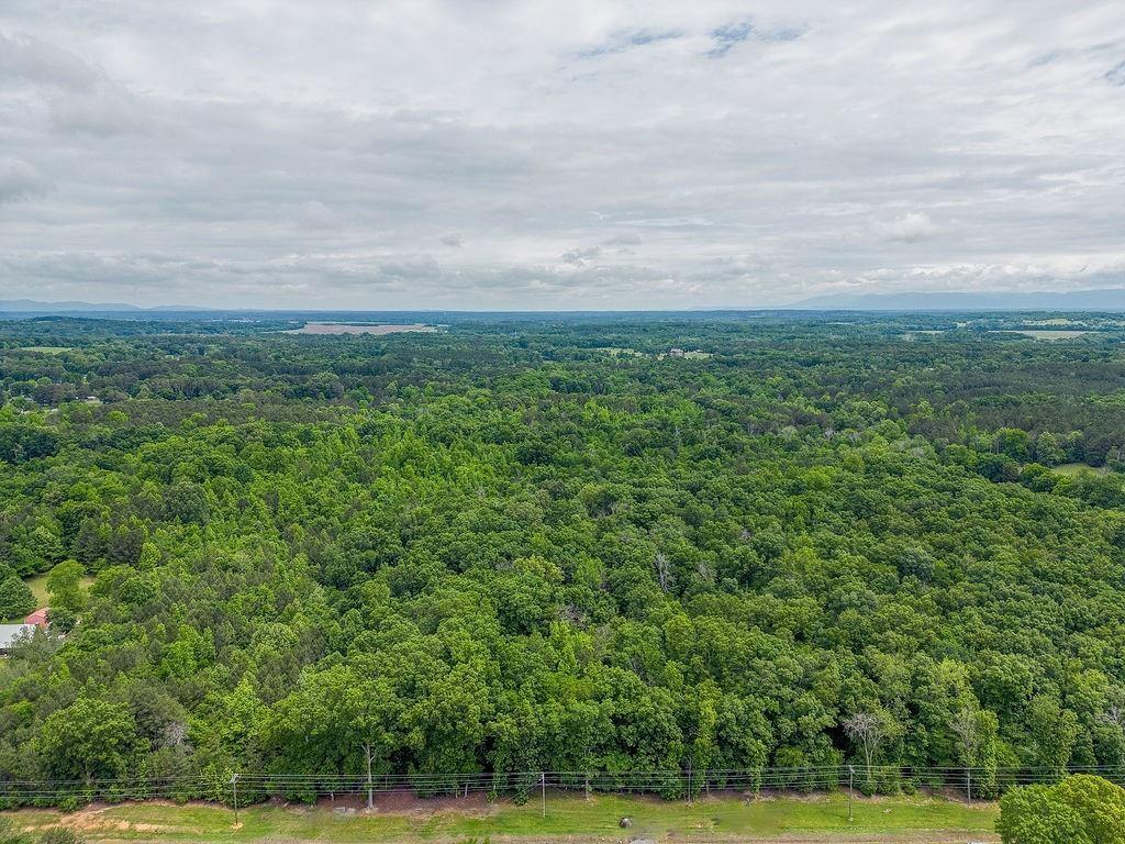 2148 Red Bud Road Northeast Calhoun, GA 30701 - Photo 12 of 18 a view of a big yard with plants and large trees