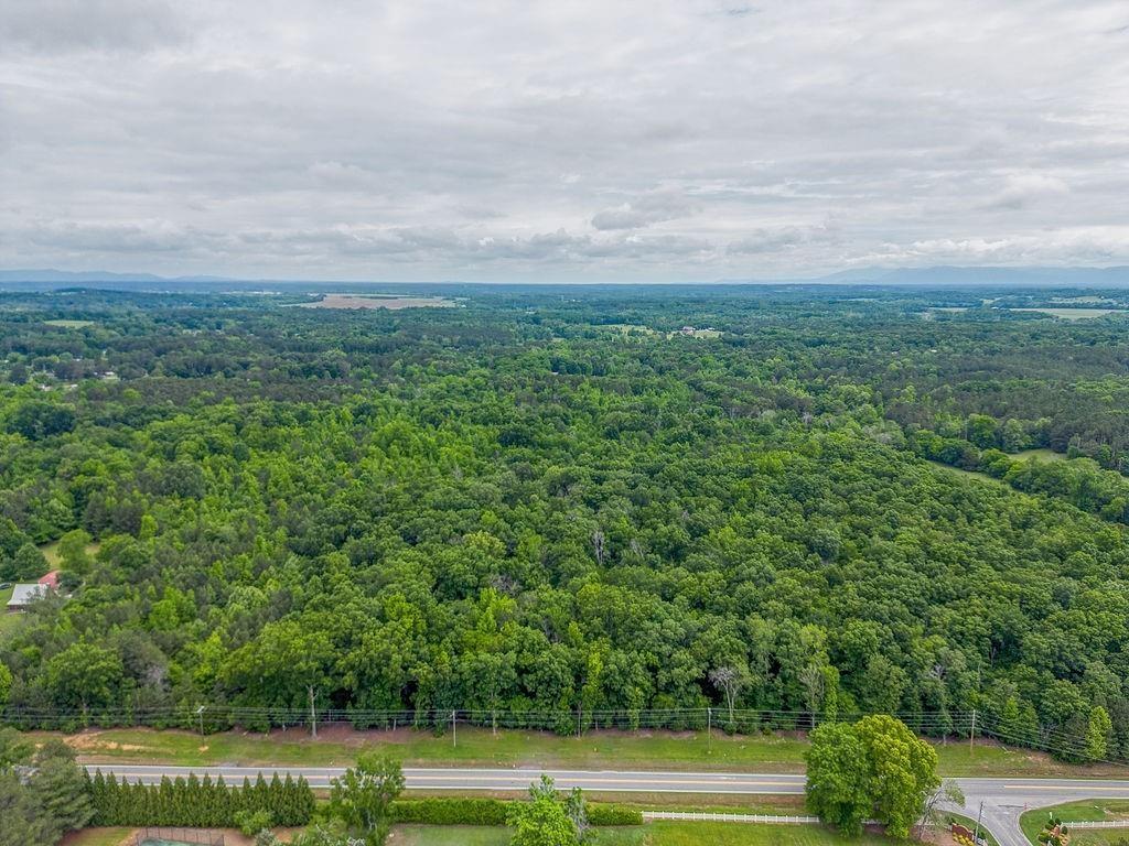 2148 Red Bud Road Northeast Calhoun, GA 30701 - Photo 13 of 18 a view of a yard with an trees