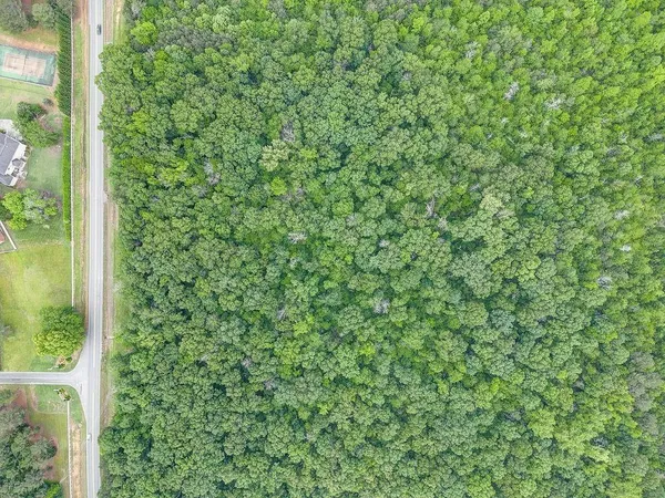 a view of a green field