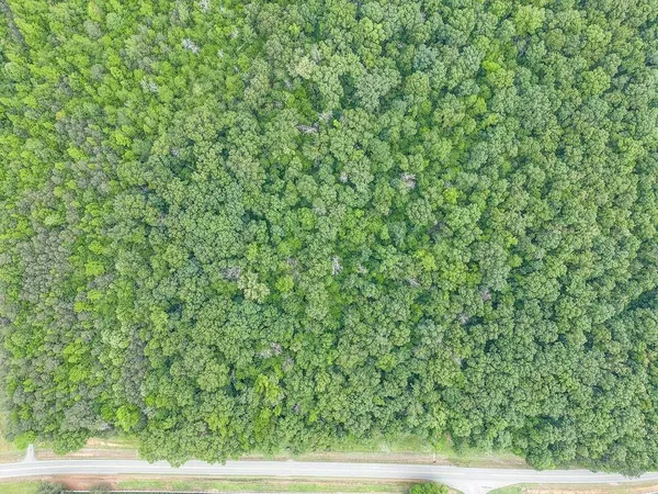 a view of a yard with a tree