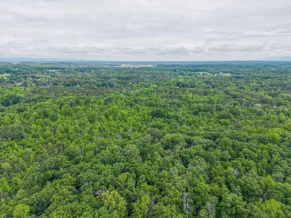 an aerial view of houses covered in trees