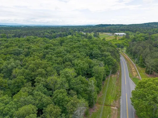a view of a lush green forest with lots of trees