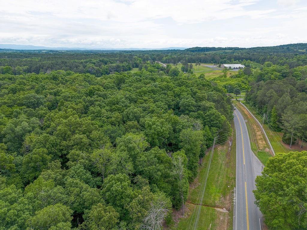 2148 Red Bud Road Northeast Calhoun, GA 30701 - Photo 5 of 18 a view of a lush green forest with lots of trees