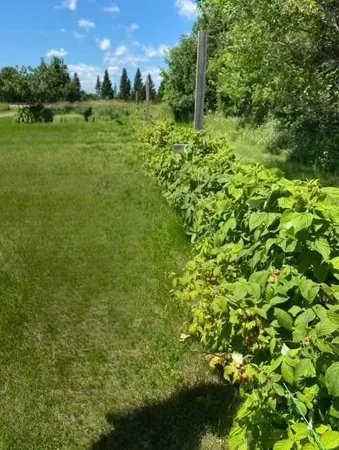 $215,000 | 1234 King Road, Mora, MN 55051