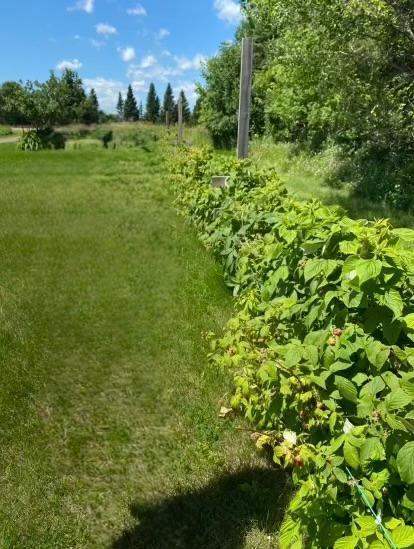 1234 King Road Mora, MN 55051 - Photo 3 of 29