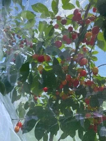 $215,000 | 1234 King Road, Mora, MN 55051