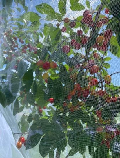 1234 King Road Mora, MN 55051 - Photo 4 of 29