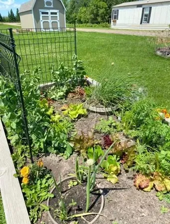 $215,000 | 1234 King Road, Mora, MN 55051