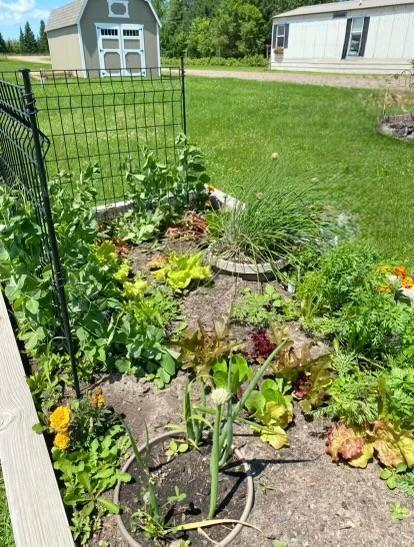 1234 King Road Mora, MN 55051 - Photo 7 of 29