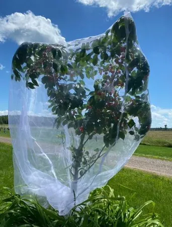 $215,000 | 1234 King Road, Mora, MN 55051