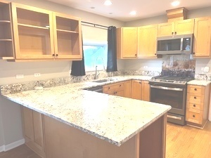 556 Barton Avenue Evanston, IL 60202 - Photo 3 of 43