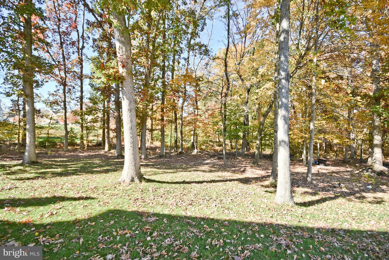 9080 Manorwood Road Laurel, MD 20723 - Photo 22 of 22 Exterior (Rear)