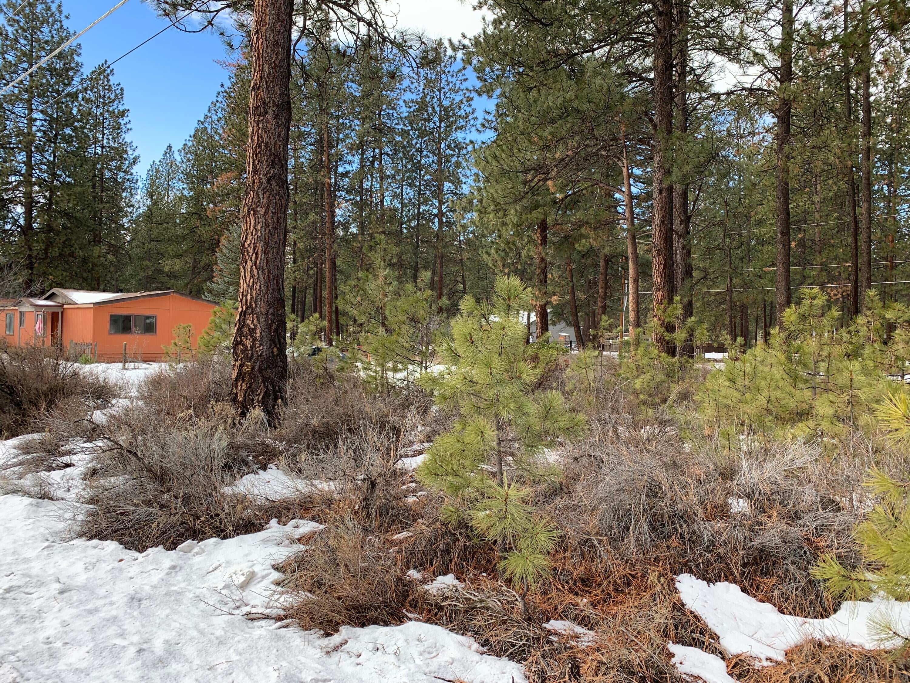 60105 Navajo Road Bend, OR 97702 - Photo 28 of 28 The large Ponderosa Pines are remarkable and give you the feel of camping in the forest, while steps from your favorite space to enjoy the house.