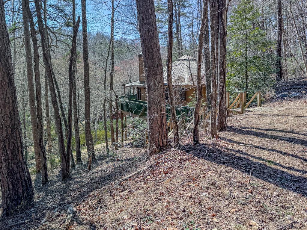 230 Tanglewood Drive Blue Ridge, GA 30513 - Photo 20 of 20 Gallery Image 20