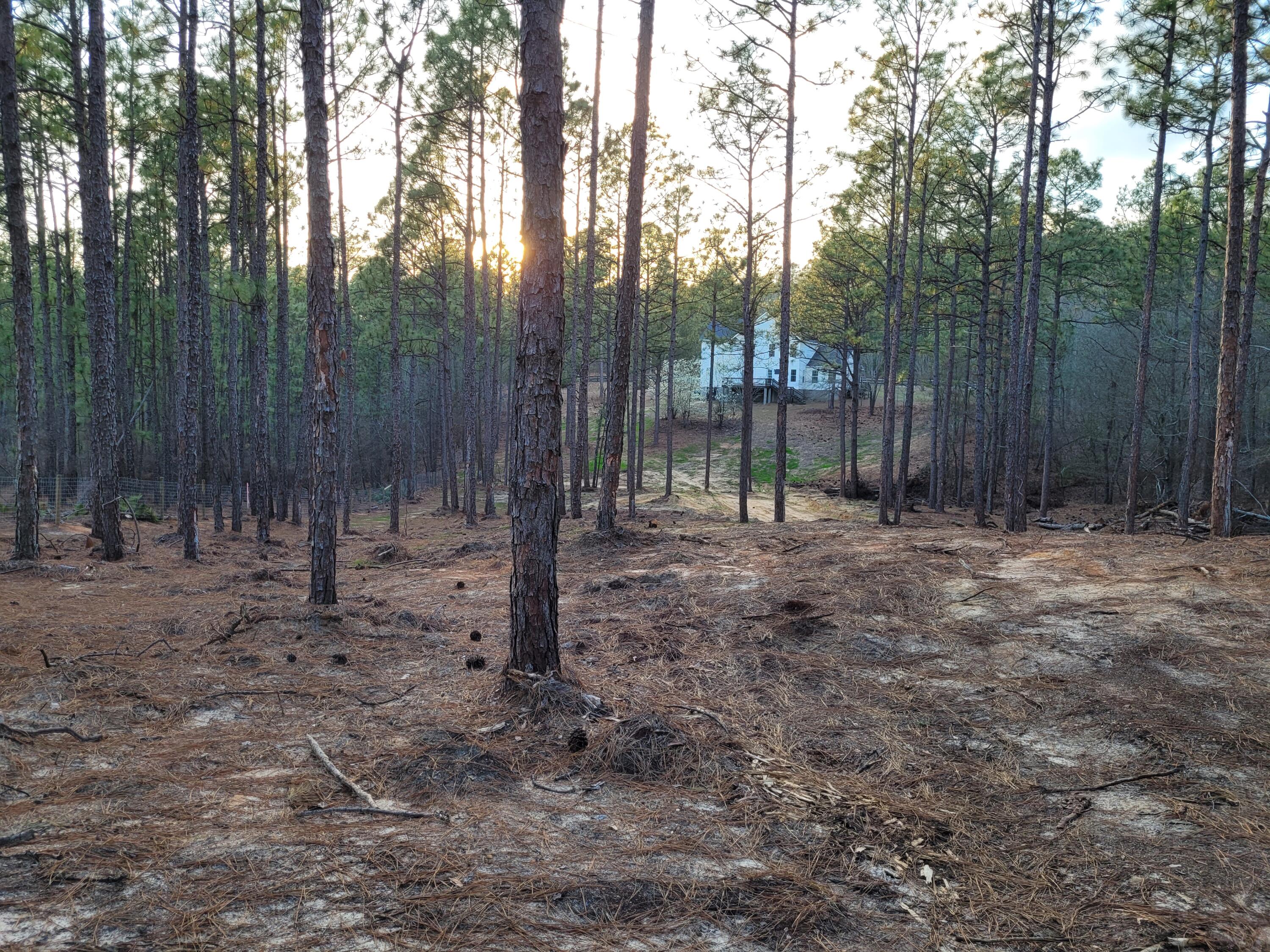 769 Chime Bell Church Road Aiken, SC 29803 - Photo 21 of 21 Gallery Image 21