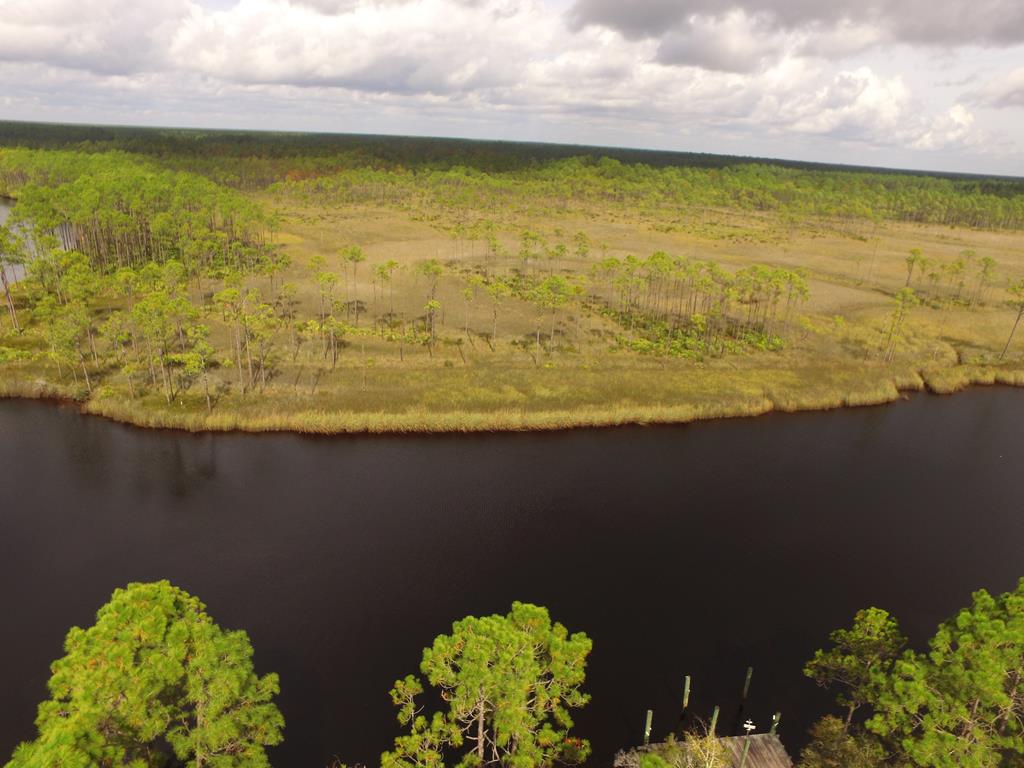 891 Mill Road Carrabelle, FL 32322 - Photo 12 of 24