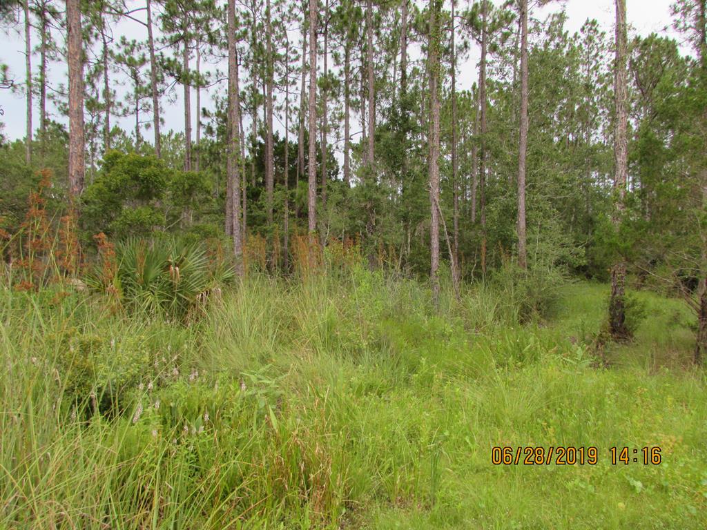 891 Mill Road Carrabelle, FL 32322 - Photo 14 of 24