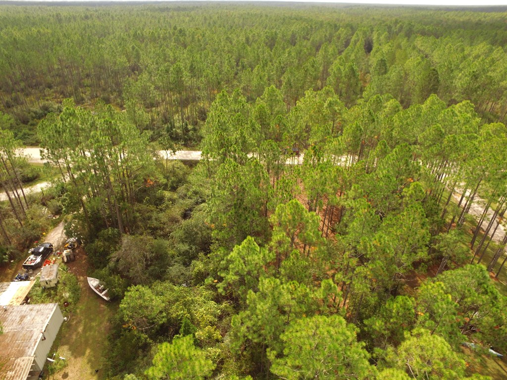 891 Mill Road Carrabelle, FL 32322 - Photo 19 of 24
