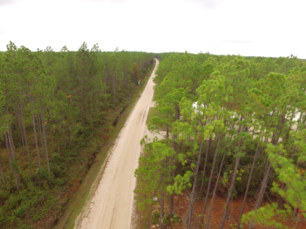 891 Mill Road Carrabelle, FL 32322 - Photo 22 of 24