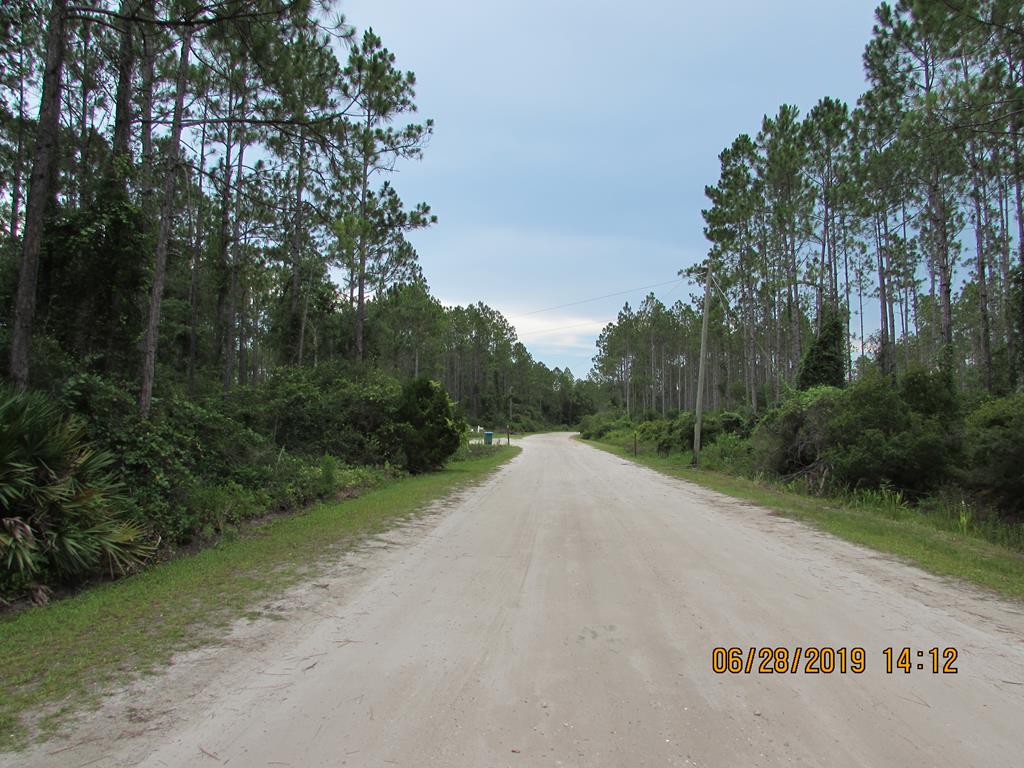 891 Mill Road Carrabelle, FL 32322 - Photo 23 of 24