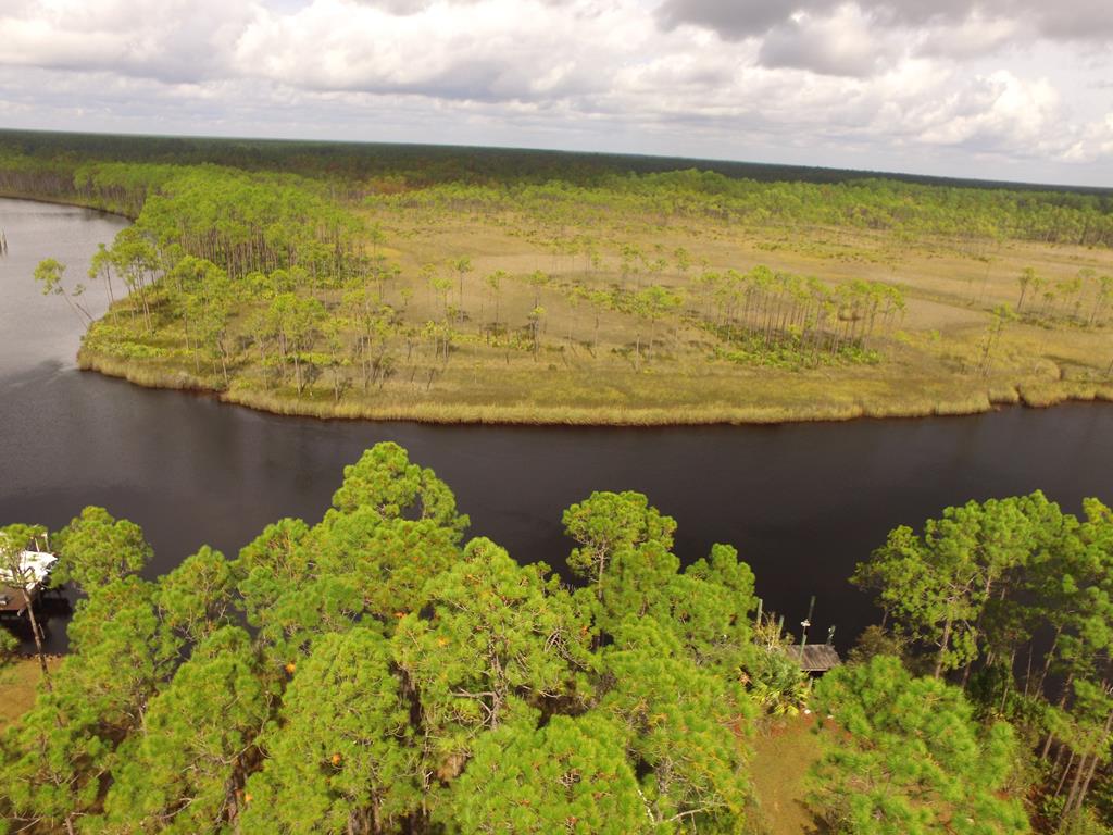891 Mill Road Carrabelle, FL 32322 - Photo 6 of 24