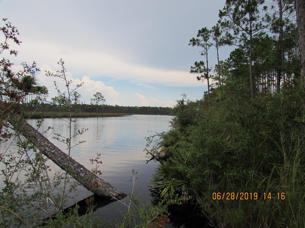 891 Mill Road Carrabelle, FL 32322 - Photo 7 of 24