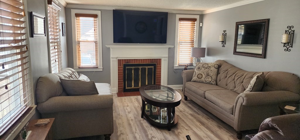 16 Abbott Street Springfield, MA 01118 - Photo 8 of 24 a living room with furniture and a fireplace