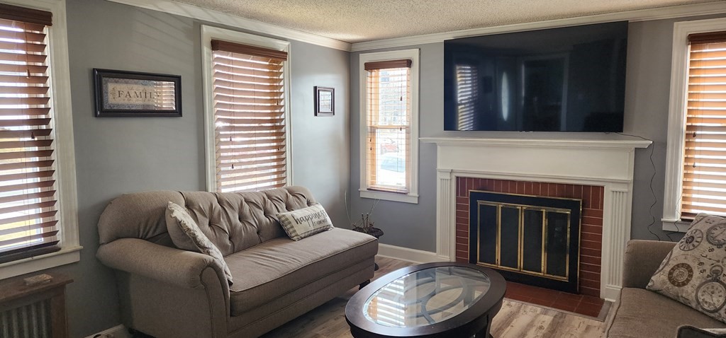 16 Abbott Street Springfield, MA 01118 - Photo 9 of 24 a living room with furniture and a fireplace