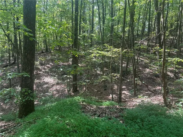 a view of outdoor space and green space