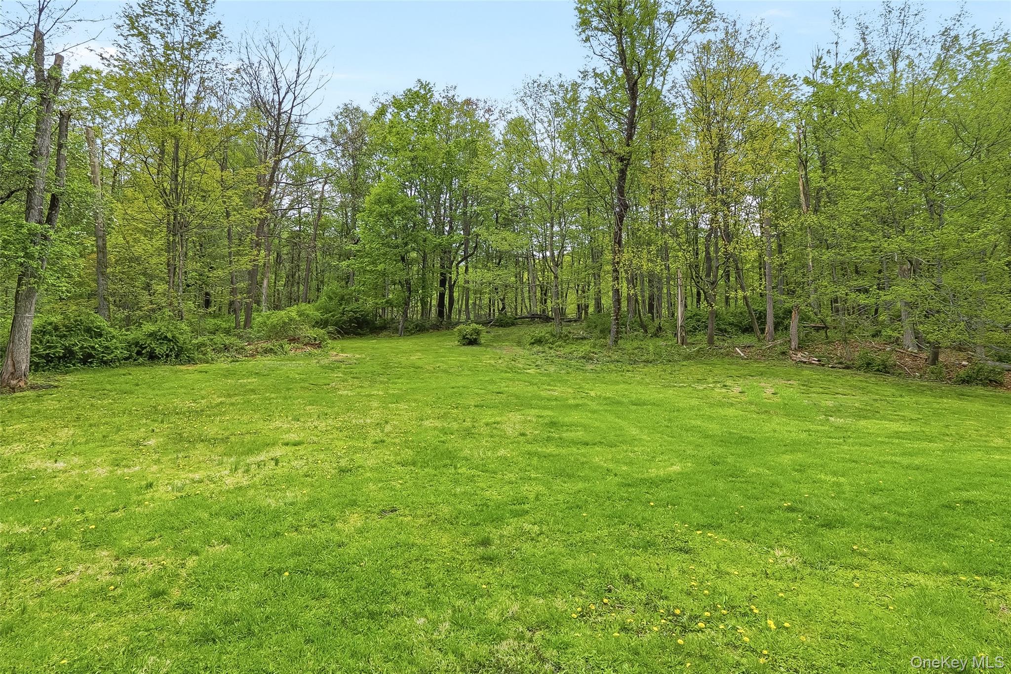 15 Ladentown Road Pomona, NY 10970 - Photo 23 of 23 a view of a large yard with lots of green space and deers