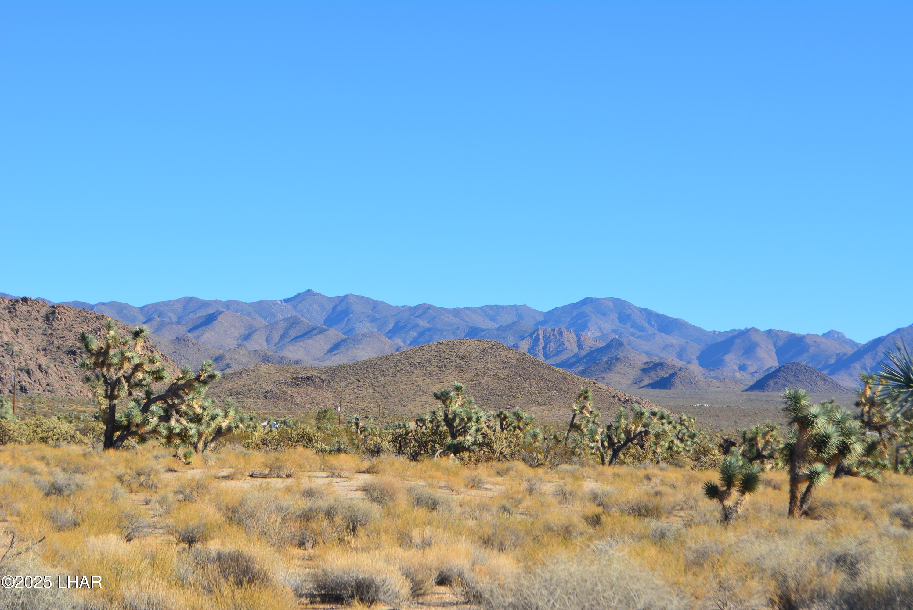 11900 Alan Road Yucca, AZ 86438 - Photo 10 of 93 DSC_0350