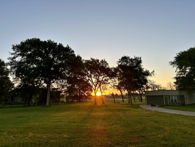 27644 Spring Hill Road Hempstead, TX 77445 - Photo 42 of 50 Beautiful sunrise from the backporch