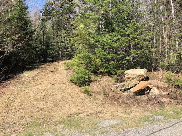 Lot 50 Edelheid Road Sandy River Plt, ME 04970 - Photo 14 of 16 Driveway