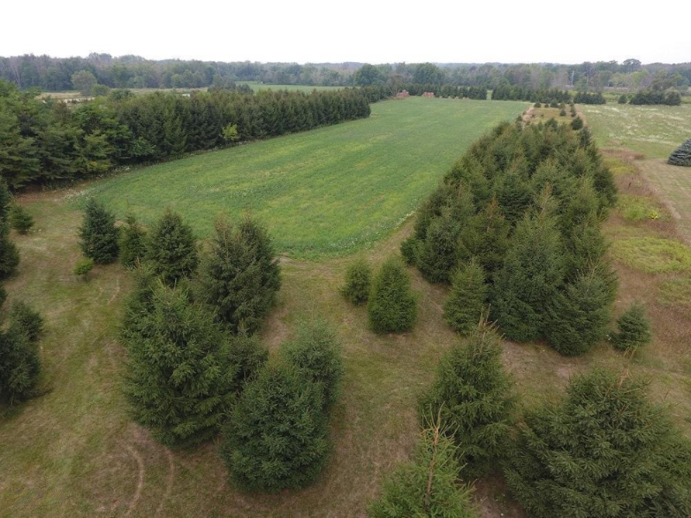 -vl Ainger Road Olivet, MI 49076 - Photo 2 of 6 DJI_0016