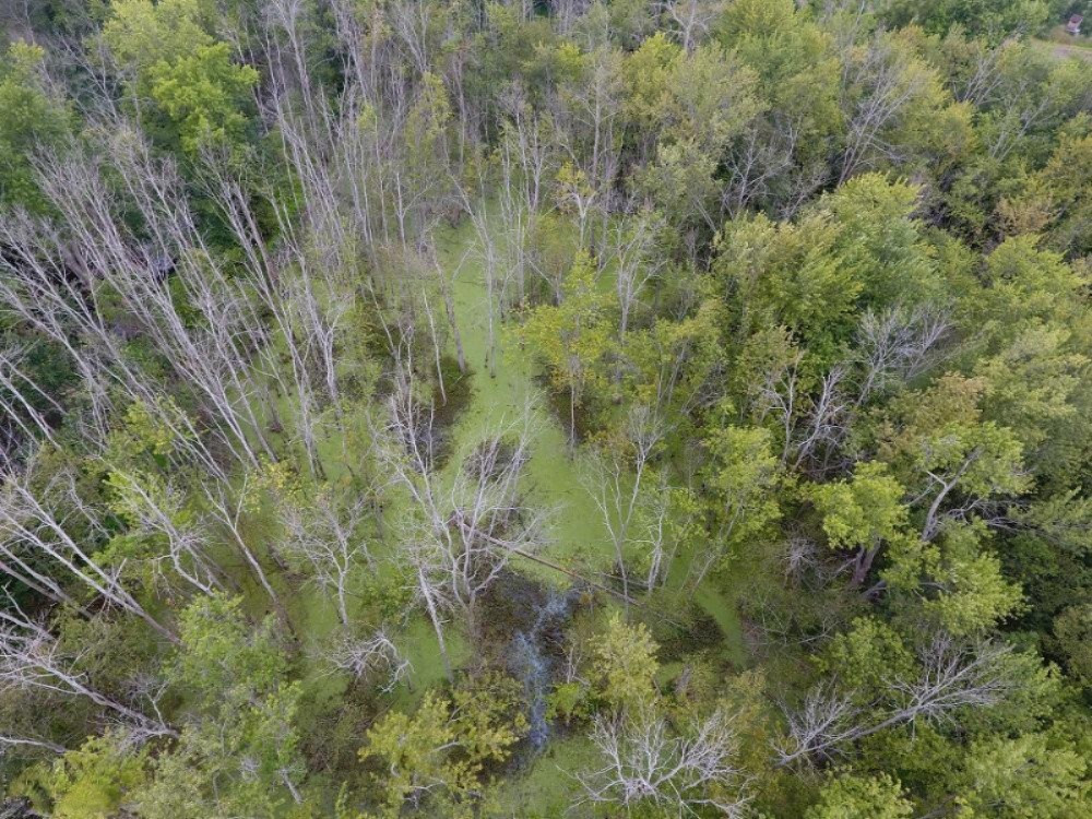-vl Ainger Road Olivet, MI 49076 - Photo 6 of 6 DJI_0024