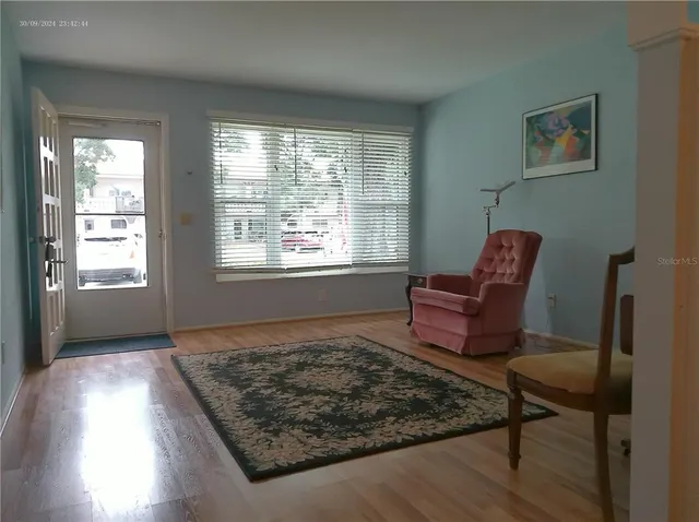 a living room with furniture rug and window