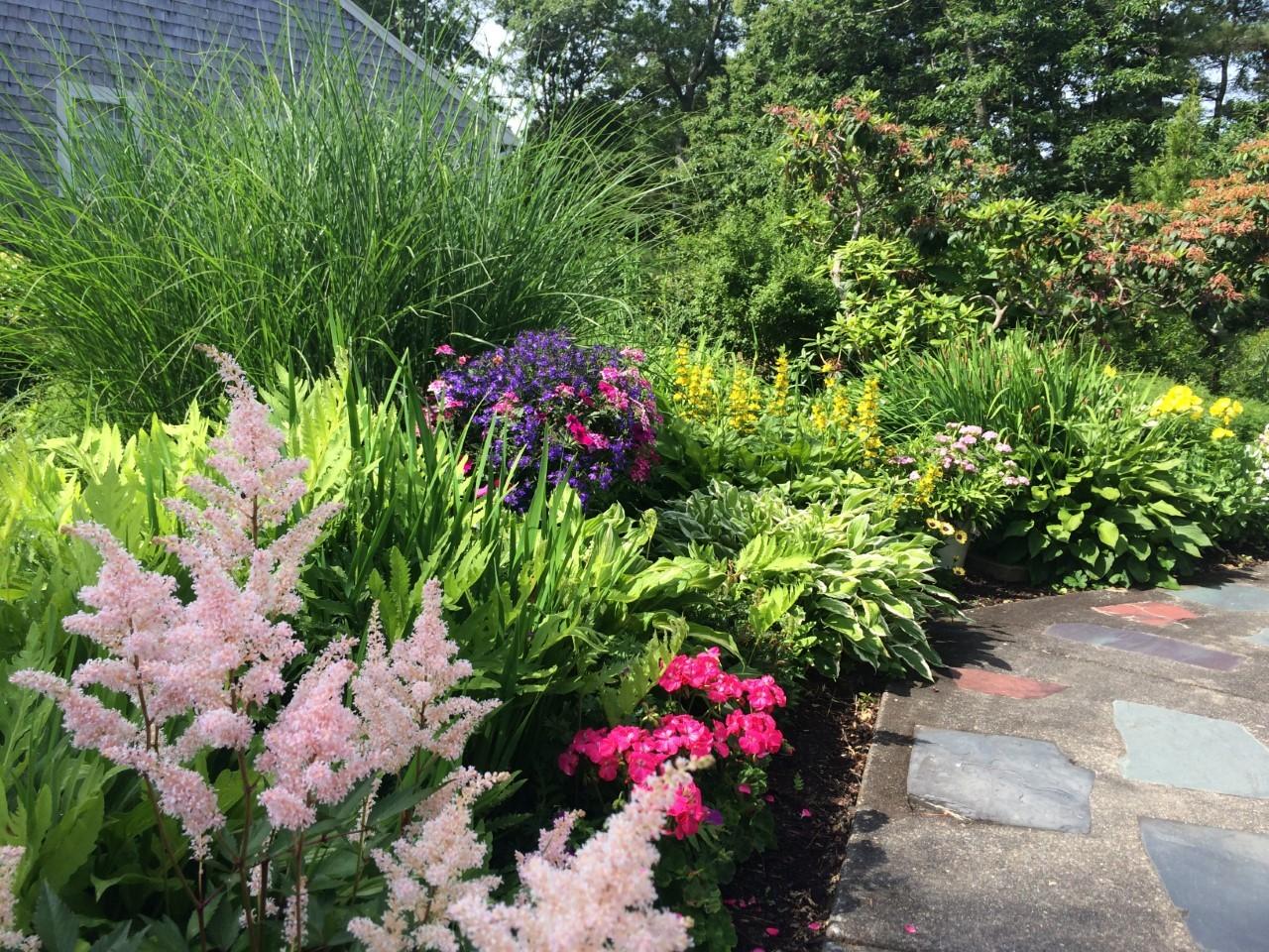 23 General Lawrence Road South Yarmouth, MA 02664 - Photo 22 of 26 Jeans garden